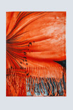 Load image into Gallery viewer, Orange Flower Print Scarf